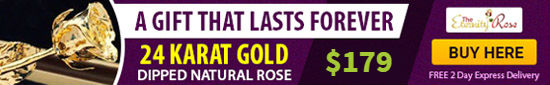 24 karat gold rose